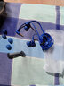 索尼（SONY） MDR-EX255AP 耳机入耳式有线带麦立体声手机通话高音质 蓝色 实拍图