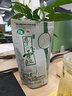 恩施玉露蒸青绿茶 润邦茶业 硒茶口粮茶冷泡茶 袋装100g 实拍图