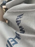 君茵卫衣男秋冬季衣服港风学生宽松连帽印花情侣春秋外套加绒男装 浅灰色HAMU【加绒款】 4XL 实拍图