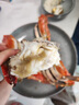 【活鲜】喵和渔梭子蟹公蟹鲜活大螃蟹飞蟹 肉蟹海鲜鲜活蟹类 4-5两/1只 肉蟹 实拍图