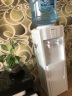 奥克斯(AUX)饮水机 家用迷你小型制热型台式桌面 饮水器 经典立式温热饮水机【2年换新】 实拍图