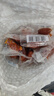 双汇蒜香烤肠85g每袋蒜蓉火腿肠开袋即食香肠休闲零食油炸煎炒蒜味肠 85g蒜香烤肠*10支 85g 实拍图