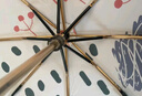 boy德国boy太阳伞女防晒防紫外线遮阳伞女生高颜值雨伞女晴雨两用伞 芯姝 实拍图