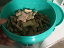 萌萌酷宠物狗狗猫咪零食洁齿除臭饼干7种混合大礼包桶狗磨牙营养2斤装 7款饼干混合款霸王桶(2斤桶装) 实拍图