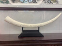 木普森简约现代象牙摆件客厅玄关电视柜样板房摆设仿猛犸象牙家居装饰品 中号光面象牙 实拍图