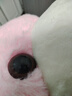 公主熊毛绒玩具泰迪熊公仔抱抱熊大号熊猫娃娃女孩生日礼物送女友情人节 粉红色 1米 实拍图