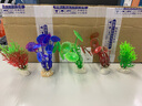 朴彩仿真水草水族箱鱼缸造景仿真水草生态装饰高仿真生态鱼缸装饰植物 绿色-1 实拍图
