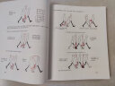 原动画基础教程：动画人的生存手册（经典版 第2版）动画技法 传统动画电脑动画游戏定格动画和网络动画师方法原则公式 实拍图