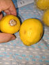四川安岳黄柠檬新鲜水果 精选一级果 柠檬直发 3斤中大果（单果80-149g） 实拍图