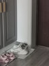 361°运动鞋女冬季网纱透气复古情侣厚底休闲老爹鞋子女682426776-2 实拍图