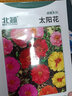 花沃里雏菊花种子约1000粒 花卉种子阳台盆栽种菜土四季草籽庭院/田间种 实拍图