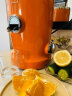 NOVIS原装进口榨汁机家用果蔬汁机全自动渣汁分离原汁机大口径多功能橙汁机 橙色 实拍图
