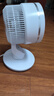 海尔（Haier） 空气循环扇电风扇台扇小风扇涡轮扇家用节能对流风扇台式壁挂音轻定时摇头办公学生宿舍桌面风扇 【大风量节能】两用定时款HFX-J2049AP 实拍图