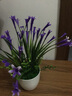 礼赫家饰蝴蝶兰仿真花假花摆设客厅餐桌花摆花绿植小盆栽室内外摆件装饰品 塑料紫色百合花+仿瓷花瓶 实拍图