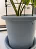 爱丽思（IRIS）花瓶彩色Deepot圆形月季铁线莲花盆园艺批发树脂花盆塑料盆 6号简约灰【带托 实拍图