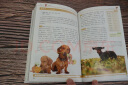 大自然博物馆·百科珍藏图鉴系列：名犬（全彩、经典、畅销） 晒单实拍图