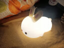 阳致兔子小夜灯兔年本命年新年礼物儿童卧室床头灯婴儿伴睡硅胶拍拍灯 晒单实拍图