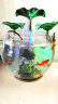 小池（XIAOCHI） 创意流水喷泉摆件办公室陶瓷桌面鱼缸家居客厅装饰水景开业礼品 214551+无雾化：长23宽23高31CM 实拍图