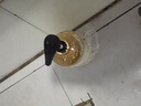 倍膳健山茶花氨基酸洗发水1L去屑控油洗头发膏露蓬松柔顺男女士留香东来 实拍图
