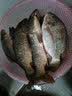 柏羽野钓打窝料鲫鱼鲤鱼草鱼鳊鱼底窝钓鱼饵料玉米谷麦粒酒糟老坛发酵 春夏酵香窝3.6斤 实拍图