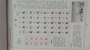 楷书习字帖 行书法字帖 罗扬 硬笔控笔训练笔画偏旁部首 钢笔字临摹 成人练字本入门 中大初小学生描红 凑单包邮批发 【楷书】常用歇后语 实拍图