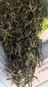 何王子春尖茶云南茶叶普洱绿茶2025新茶毛尖厂家批发浓香型散装高山 一级250g*1袋 实拍图