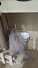 瑞德医生瑞宠乐宠物猫体内外驱虫药滴剂寄生虫猫用打虫药防治跳蚤耳螨幼猫成猫用吡虫啉莫昔克丁滴剂 【买3支送1支】4-8kg猫内外同驱4支 晒单实拍图