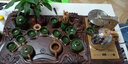 兿凡臻品 功夫整套茶具套装家用全自动实木乌金石茶盘茶台一体式电磁炉 11小卧佛茶韵玻璃-分体 实拍图