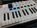 ARTURIA MINILAB3 MK3 便携MIDI键盘25键迷笛控制器打击垫音乐作编曲制作 25键 白色 +踏板+便携包 官方授权 赠正版音色库 实拍图