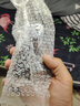康之润家用红酒开瓶器多功能葡萄酒启瓶器红酒起子开酒器酒具套装 翅形B+倒酒器+割纸刀+真空塞 实拍图