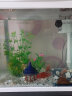森森（SUNSUN） 鱼缸水族箱金鱼缸带灯鱼缸过滤器玻璃鱼缸桌面鱼缸 白色 高清玻璃HR-380+造景五（带18件） 实拍图
