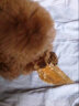 耐吉斯宠物零食奶酪鸡胸肉片100g鲜肉鸡肉干新西兰芝士训练奖励猫狗零食 晒单实拍图