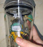 乐唯诗（NERVISHI） 玻璃杯吸管杯可爱少女网红奶茶杯女杯子带盖早餐杯牛奶杯咖啡杯 乐美吸管杯【琥珀】带把 530ml 1只 实拍图
