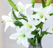 迷.妆 假花高支百合花仿真花束单支客厅电视柜餐桌装饰品仿真花套装花 3支白色-香水百合（不含花瓶） 实拍图