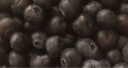 joyvio佳沃 秘鲁进口蓝莓 12盒原箱装 125g/盒 生鲜水果 实拍图