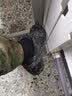 多威（Do-win）跑步鞋迷彩鞋男作训鞋减震训练鞋专业运动鞋越野体能鞋耐磨 数码色升级款 闪电到家 42 实拍图