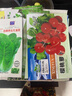 四季奶油小白菜农家庭院阳台露天绿色速生四季盆栽蔬菜种子 小白菜种子【5包 约5千粒】 实拍图