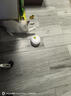 all for paws蝴蝶飞飞 自动逗猫玩具逗猫棒 猫咪玩具 自动旋转逗猫器 实拍图