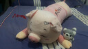艾筱扬【当次日达】小猪猪抱枕公仔娃娃毛绒玩具睡觉抱七夕情人节礼物女 粉色眯眼（开心每一天） 1.2米 实拍图