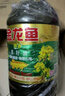 金龙鱼食用油 非转基因纯香低芥酸菜籽油 5L 菜油大桶家用油物理压榨 5L*4桶 +清香稻500g*4 实拍图