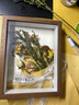 瑞萌特 中空干花相框diy摆台永生花保存立体标本框手工加厚A4画框 胡桃木色(中空3cm+丝带+胶水+灯带+底纸) 8寸(15.2*20.3cm)横竖可摆 实拍图