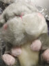 DRACO ins可爱仓鼠书包挂件熊猫兔子小公仔包包吊坠毛绒玩具小号娃娃女孩礼物 灰色仓鼠 13厘米球球挂件 实拍图