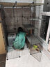 爱咪宠猫笼子大号家用猫笼子猫别墅大型DIY猫笼子带厕所一体猫咪别墅 【笼内分区设计】4列4层3排 瞄宅套餐【笼子+加固扣+工具】 实拍图