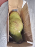 保蓉生鲜水果俱乐部海南菠萝蜜黄肉干苞新鲜水果热带特产水果 （软香才能切开） 20-25斤 实拍图