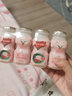 宜养 针叶樱桃乳酸菌牛奶饮品 好喝酸奶饮料 礼盒装送礼推荐乳酸菌 100ml*24瓶 实拍图