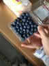 储褚【顺丰空运】云南新鲜蓝莓鲜果 国产花香蓝梅大果 时令水果 8盒装/125g（单果17mm左右） 实拍图
