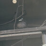 威斯汀（WESTDING）定压定阻功放机吸顶喇叭公共广播功放背景音乐系统5分区工程功率放大器 VCM-180 150w 实拍图
