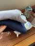 恒源祥羊毛裤加厚男纯羊毛保暖裤打底裤女秋裤男羊毛棉裤保暖内衣裤 男加厚-黑色-全羊毛 2XL (175) 实拍图