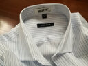 恒源祥棉长袖衬衫男春秋季商务职业正装中年修身衬衣男士棉免烫 长袖H77-12 蓝点条纹 40 实拍图