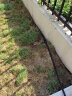 南水灌溉半自动浇花器花园菜地浇灌喷水神器喷淋灌溉20米16管20地插喷头 晒单实拍图